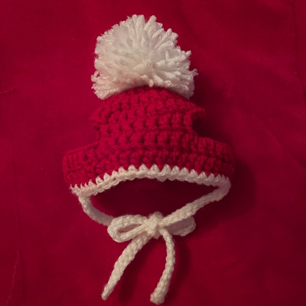 Cat or small dog Santa hat